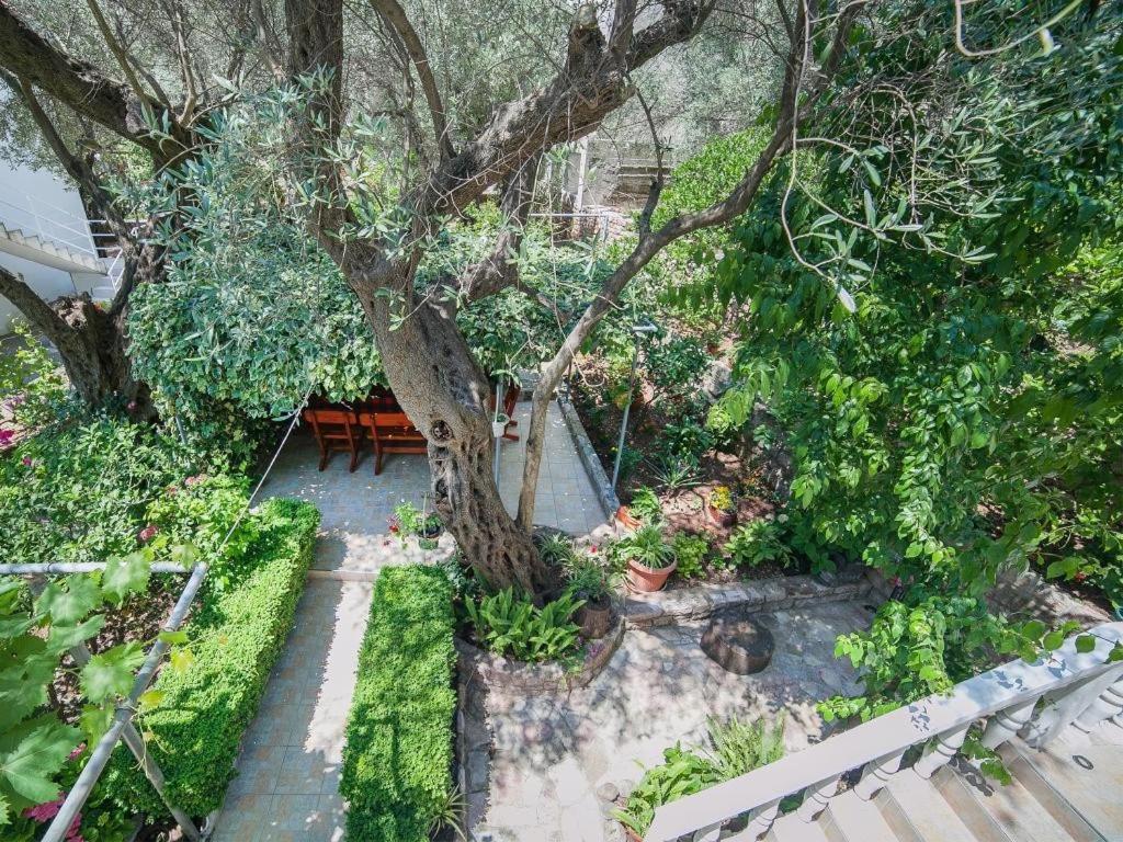 Rooms Garden Petrovac Rum bild